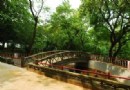 嘉義公園
