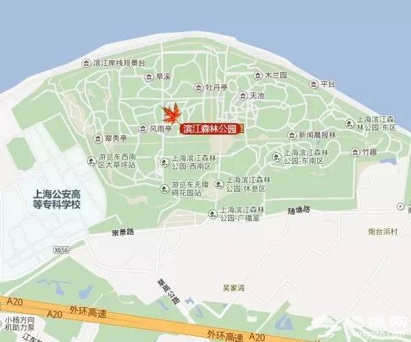 上海最全16區“賞秋地圖”出爐 錯過再等一年[牆根網]