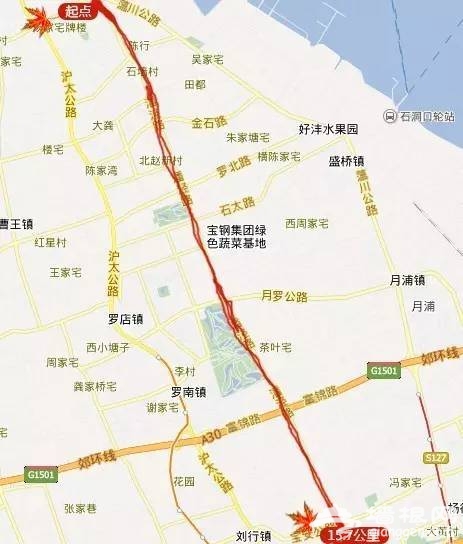上海最全16區“賞秋地圖”出爐 錯過再等一年[牆根網]