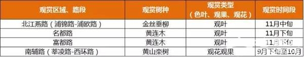上海最全16區“賞秋地圖”出爐 錯過再等一年[牆根網]