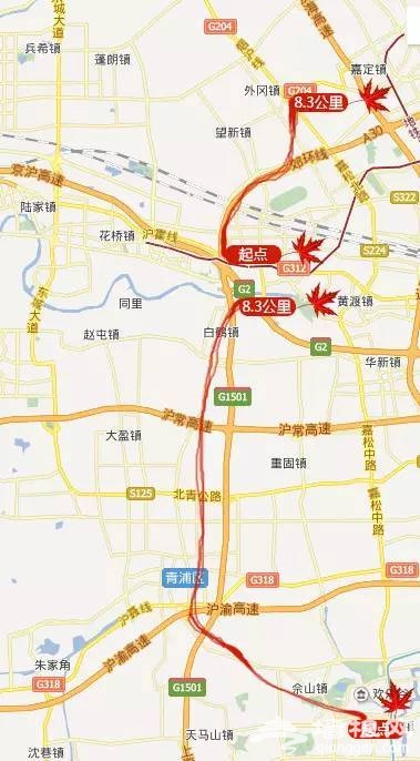 上海最全16區“賞秋地圖”出爐 錯過再等一年[牆根網]