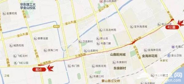 上海最全16區“賞秋地圖”出爐 錯過再等一年[牆根網]