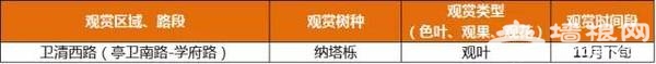 上海最全16區“賞秋地圖”出爐 錯過再等一年[牆根網]