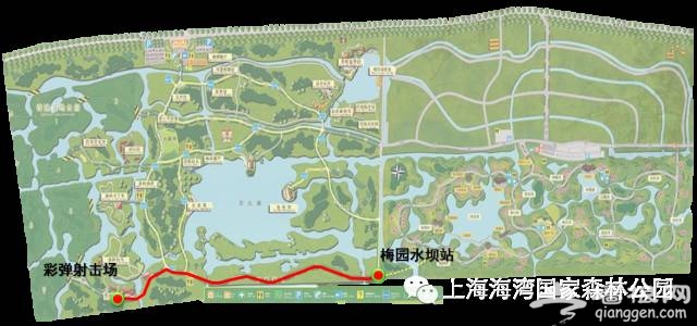 2015上海梅花節游玩路線推薦