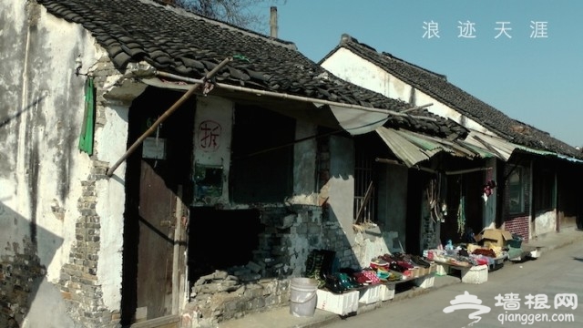 上海旅游新去處 楓泾古鎮[牆根網]