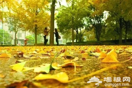 點擊圖片進入下一頁