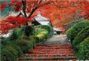上海周邊秋季賞紅葉好去處
