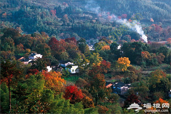 上海周邊秋季賞紅葉好去處[牆根網]