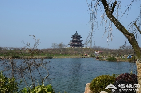 海灣國家森林公園自助游圖片