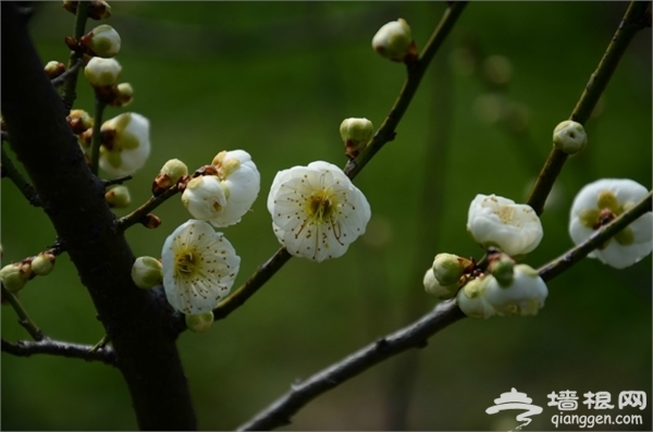 海灣國家森林公園旅游攻略圖片 海灣國家森林公園旅游攻略圖片