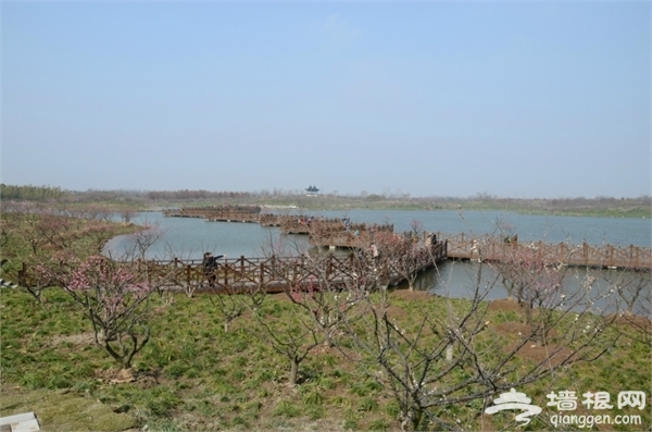 海灣國家森林公園景點圖片