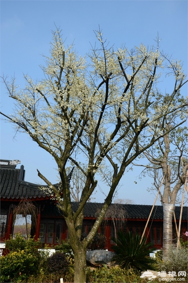 海灣國家森林公園圖片