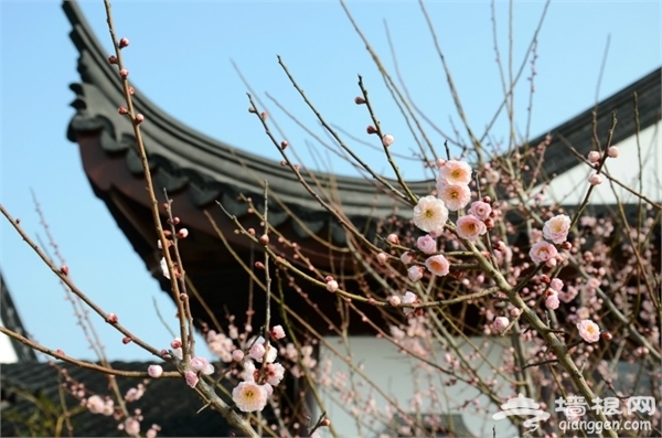 海灣國家森林公園旅游攻略圖片 海灣國家森林公園旅游攻略圖片