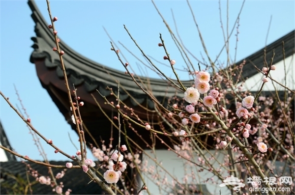 海灣國家森林公園旅游攻略圖片