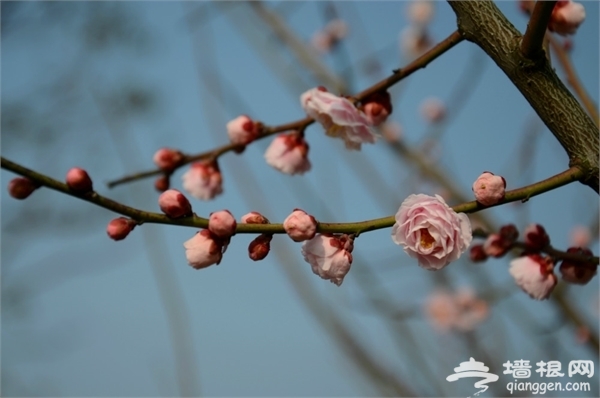 海灣國家森林公園圖片 海灣國家森林公園圖片