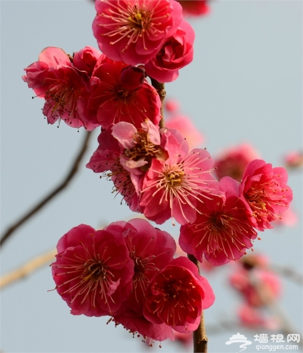 海灣國家森林公園自助游圖片 海灣國家森林公園自助游圖片