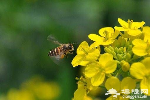 點擊圖片進入下一頁