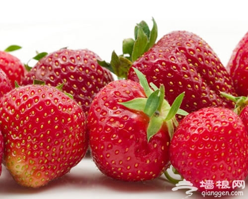 上海草莓采摘指南[牆根網]