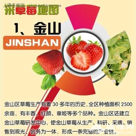 2014春節上海草莓采摘地圖