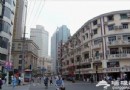 宜動宜靜 盤點金秋滬上七大旅游勝地