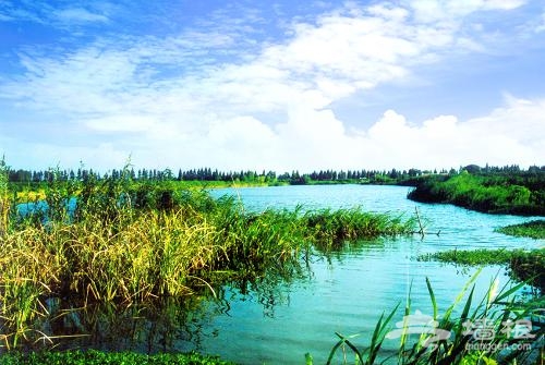 西沙濕地 西沙濕地