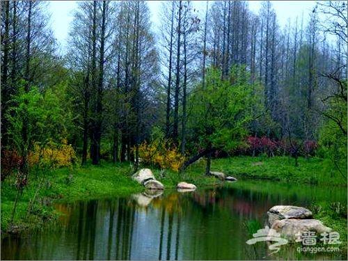 濱江森林公園 濱江森林公園