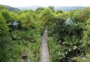 花泉農場