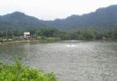 頭寮大池