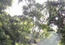 達觀山
