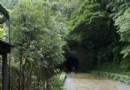 百吉林蔭步道