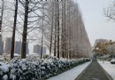 濱河公園