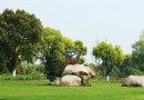 城市生態森林公園