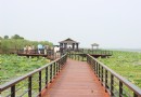 陽澄湖蓮花島