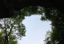 秋湖山