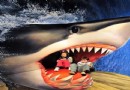 玉橋3D魔幻游戲館