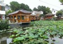 地球科學博物館