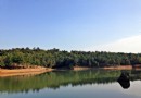 無想寺森林公園