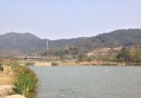 石塘竹海