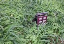 烏龍山公園