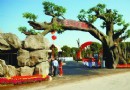東山香樟園