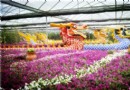 台灣主題文化園