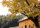 寂照寺
