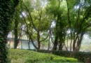 江陰中山公園