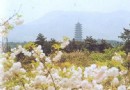 龍池山