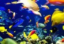 無錫海底世界