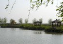 高郵湖蘆葦蕩濕地公園