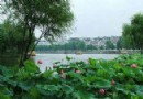 荷花池公園