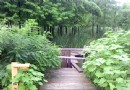 薔薇園