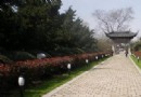 陳渡草堂