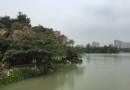 青楓公園